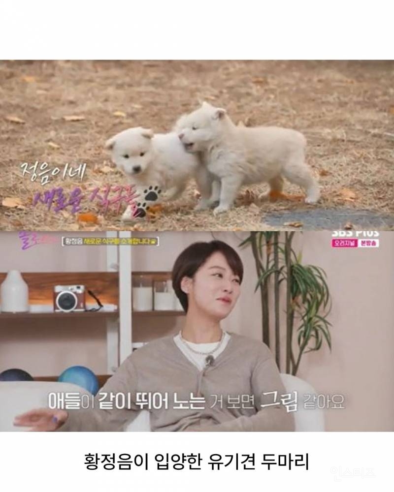 황정음 아들 둘, 강아지 둘 이름.jpg | 인스티즈