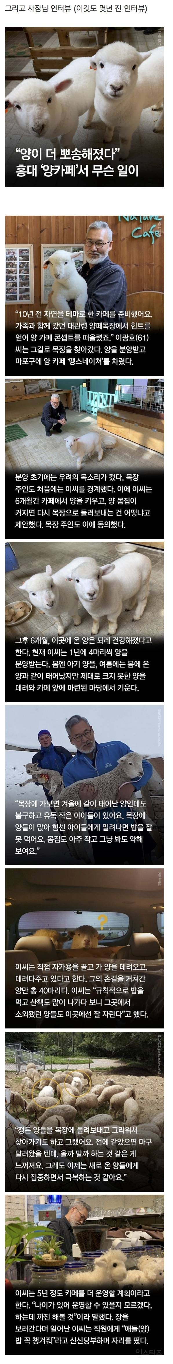 홍대 양 카페의 진실 | 인스티즈