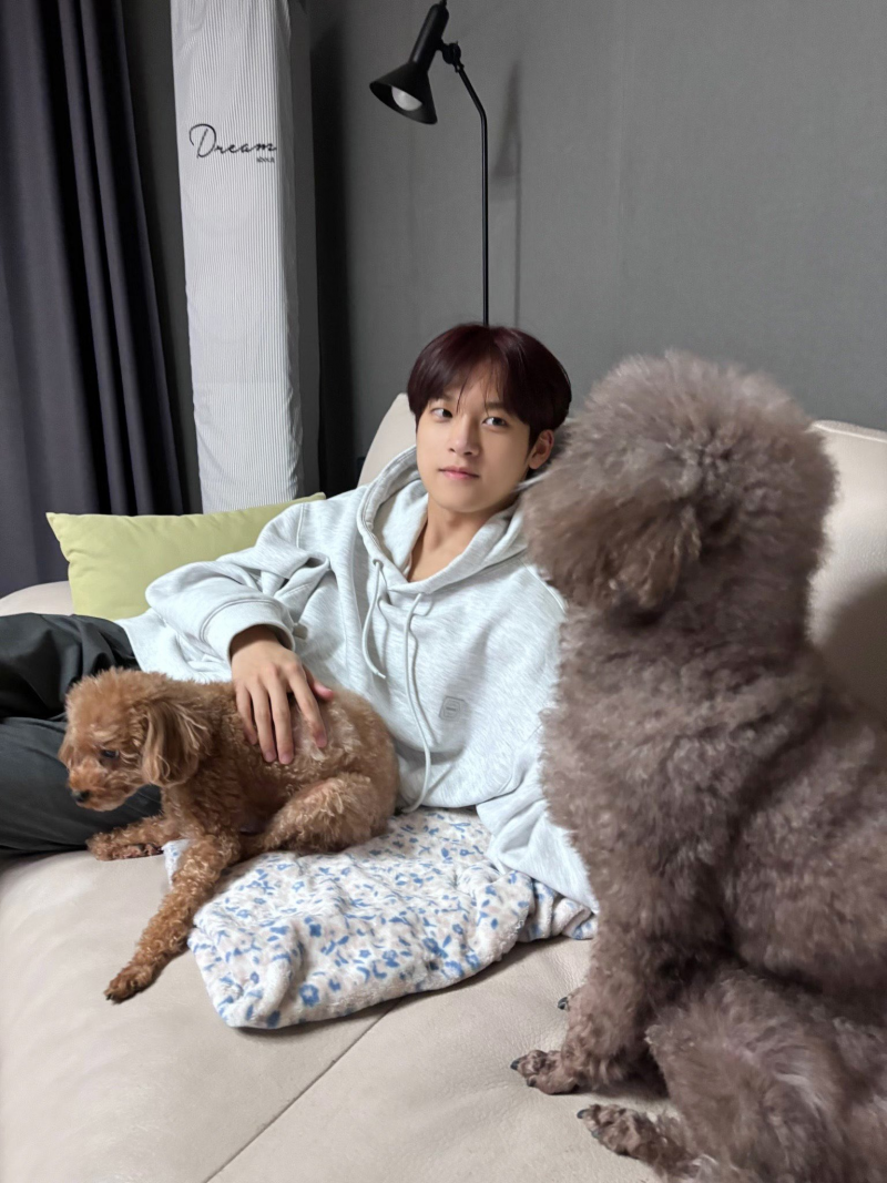 주인과 강아지는 서로 닮는다.twt | 인스티즈