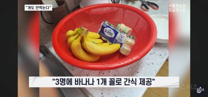 오늘 폭로된 충격적인 요양원 실태 | 인스티즈