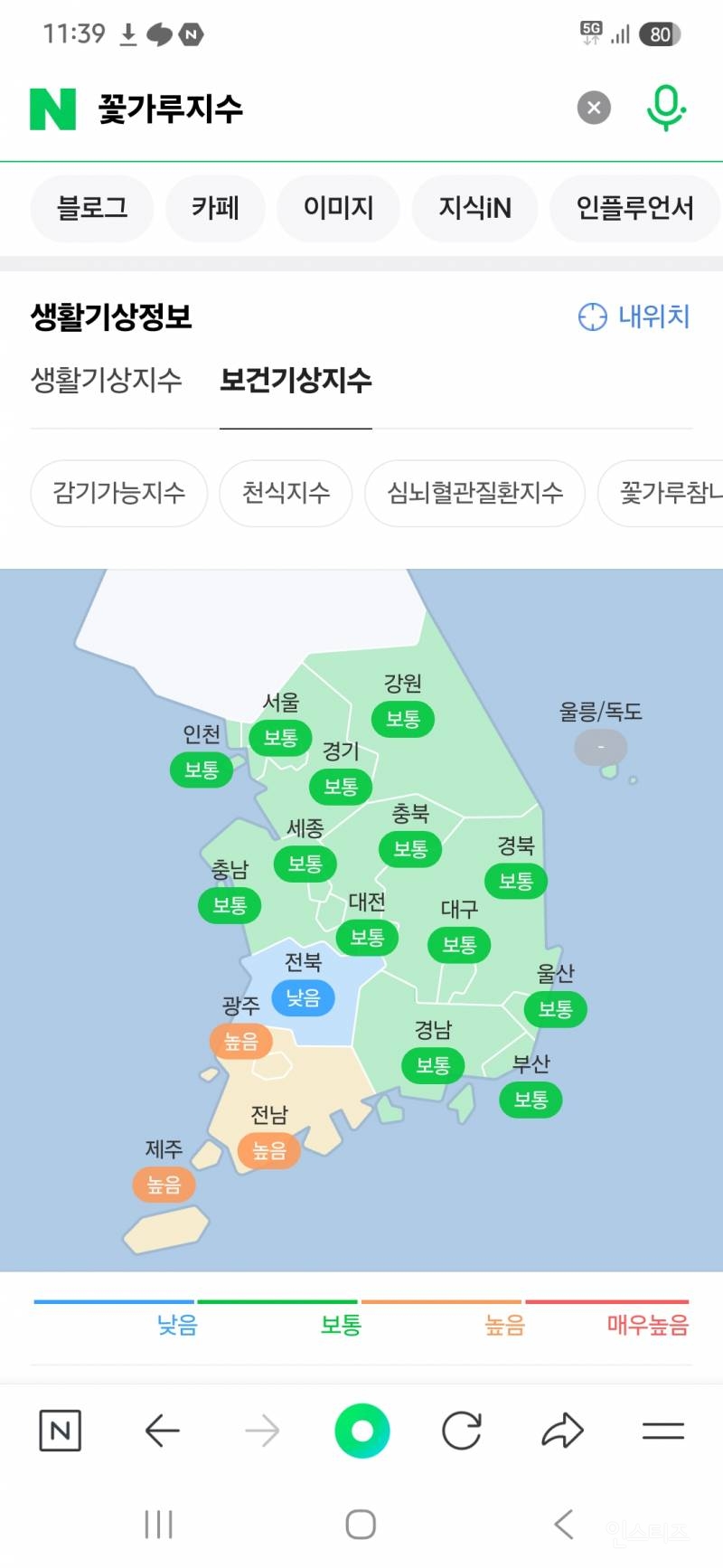  매년 4~5월 꽃가루 지수를 검색해야 하는 이유