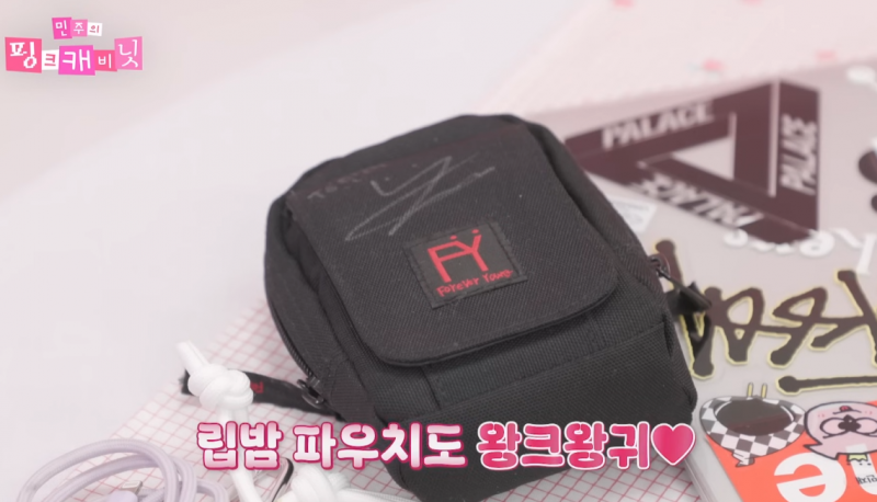  틴트도 아닌데 립밤만 9개 들고다닌다는 아이돌
