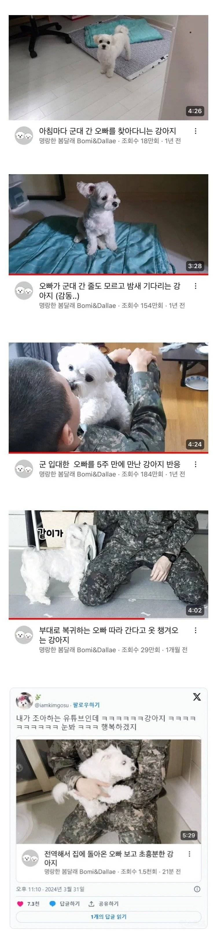  군대간 오빠를 매일 기다리던 강아지.jpg