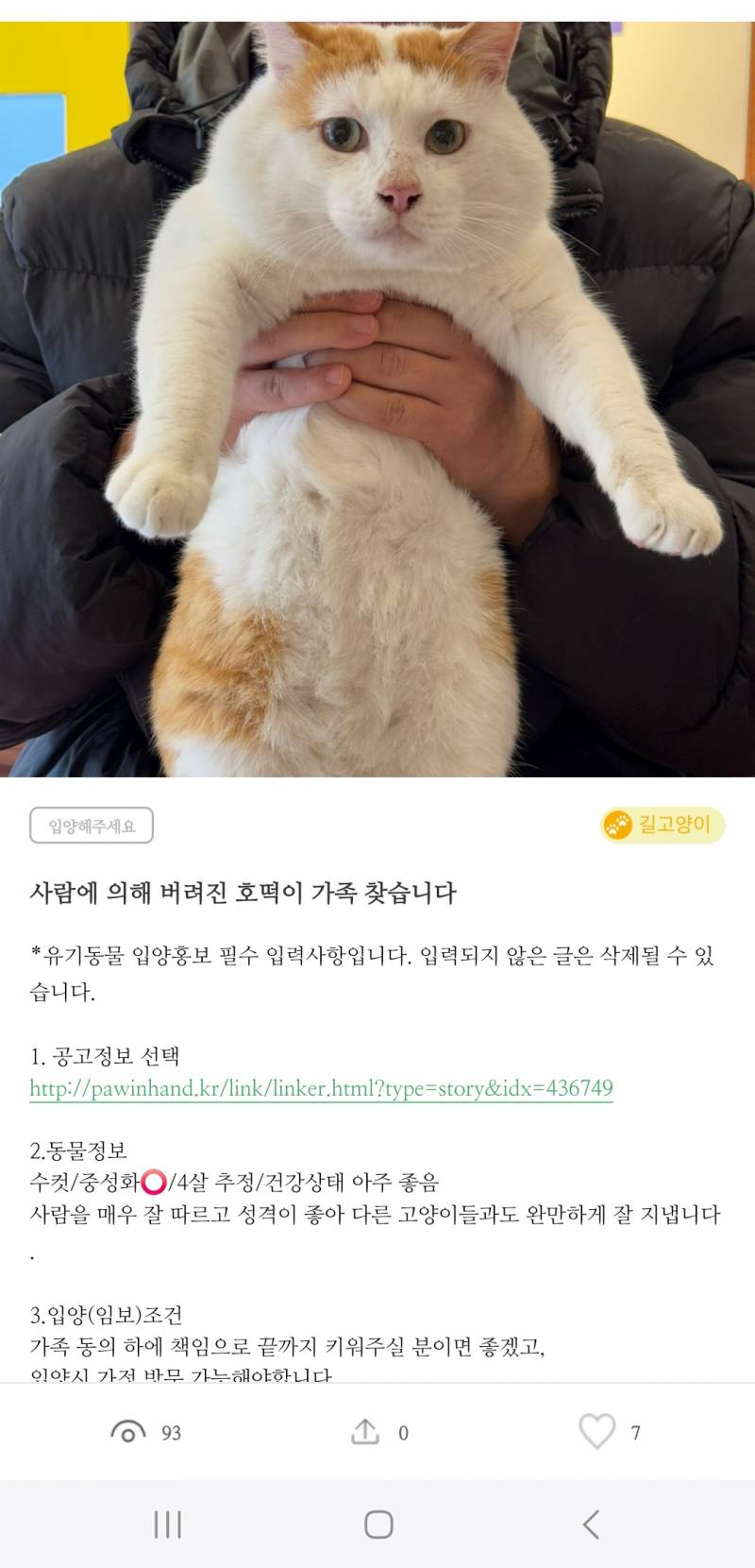 [잡담] 아 진짜 포인핸드에 너무너무너무 내 취향 고양이가 있는데 데려오고싶다 | 인스티즈