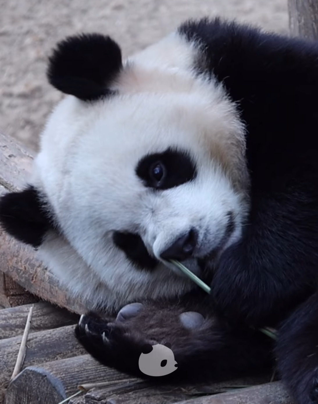 [마플] 캐스팅뜨고 롤이간질 케미 주어만바뀌고옴 | 인스티즈