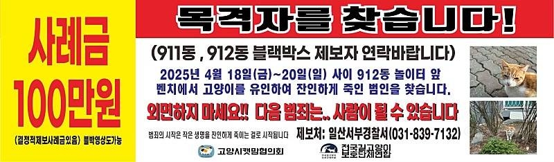 고양시 어느 동네 에서 일어난 길고양이 학대 사건 | 인스티즈