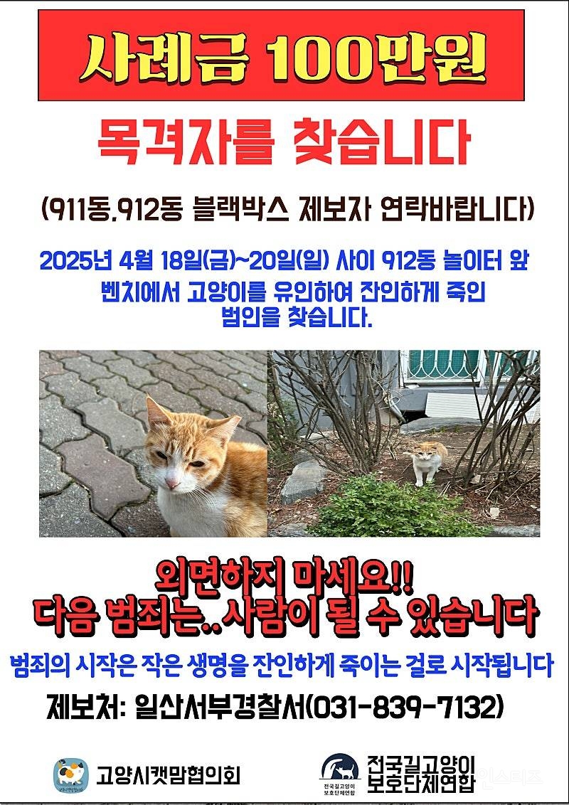  고양시 어느 동네 에서 일어난 길고양이 학대 사건