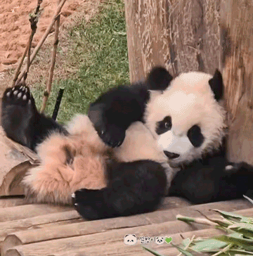 오늘자 대낮부터 얼큰하게 취한 한국 유명 쌍둥이 | 인스티즈