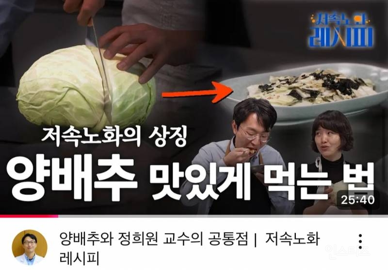잔병치레 위키 '면역력' 편 (다래끼,이명, 과민성대장증후군) | 인스티즈