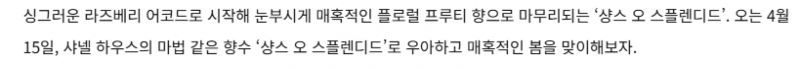 약 8년 만에 신규 런칭한 샤넬 향수 론칭 이벤트 한국 대표로 참여한 모델 비주얼 | 인스티즈