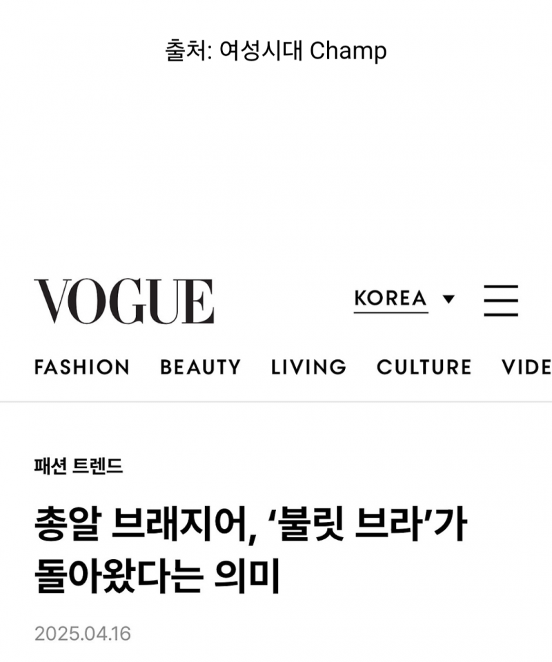  패션계가 시동거는 중인 총알브라 유행.JPG11