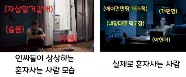 혼자사는게 편한 사람 특징.jpg | 인스티즈