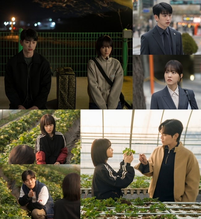 [정보/소식] 류경수, 박보영 쌍둥이 자매 고용했다알쏭달쏭한 감정(미지의 서울) | 인스티즈