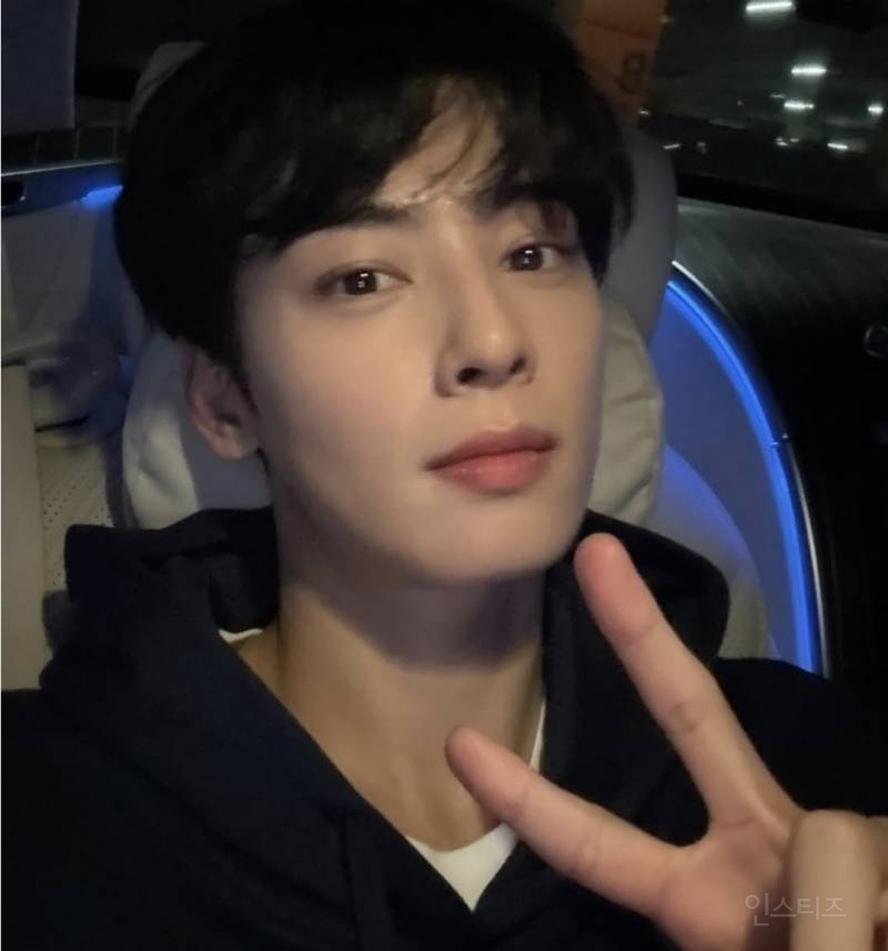 차은우가 유일하게 못할거 같다는것.jpg | 인스티즈