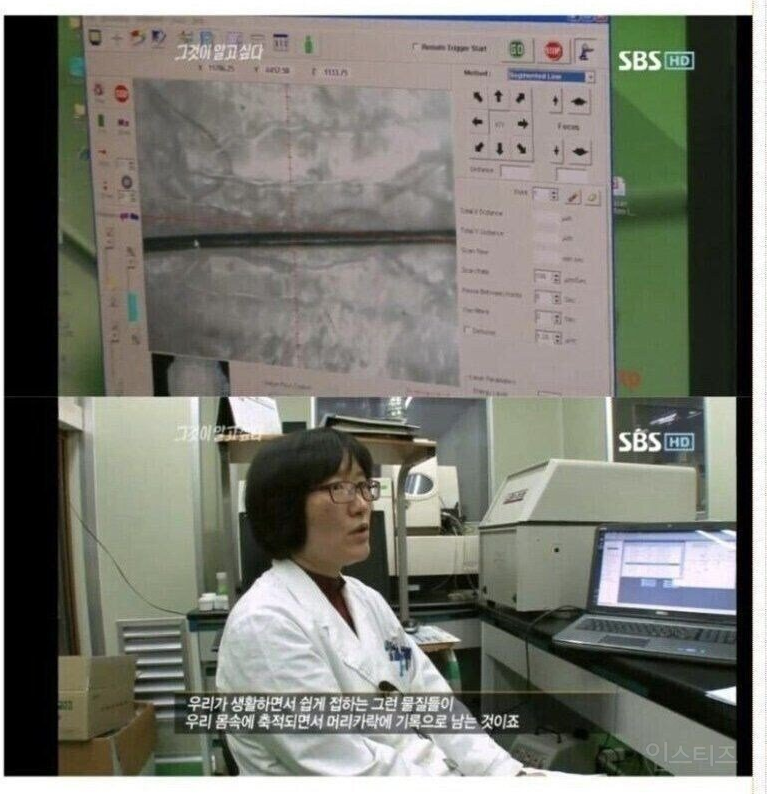  머리카락이 말해주는 진실 甲