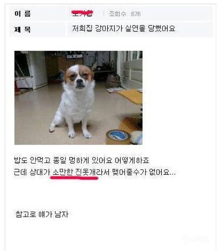  저희집 강아지가 실연 당했는데.. 문제가 있어요2