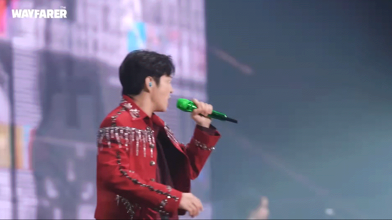  판타지소설 속 의상으로 콘서트 말아준 가수