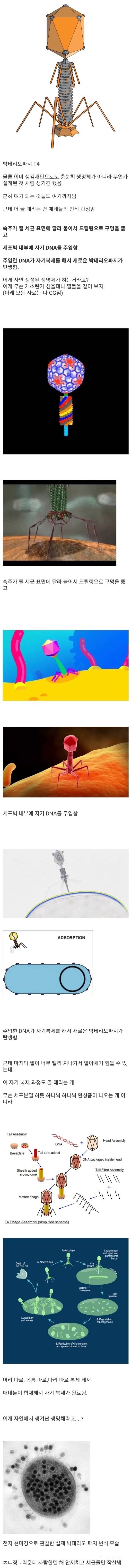 외계인이 만든 생체로봇 같다고 여겨지는 생명체.jpgif