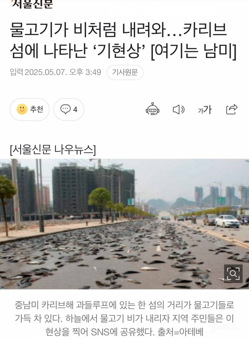  실제상황! 하늘에서 내린 물고기1