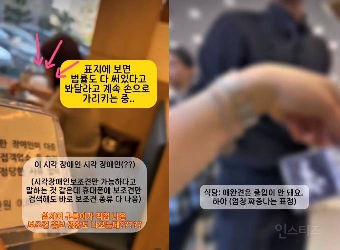  청각장애인 보조견이 어딨냐 식당과 경찰에 문전박대 당해3