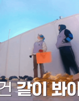 나피디가 마치 도장깨기처럼 느껴졌다는 덱스의 예능 | 인스티즈