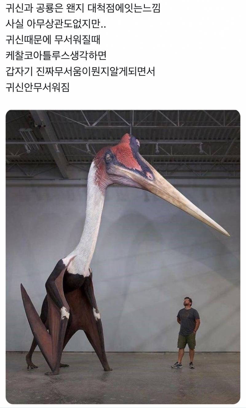 (혐) 귀신을 무서워하지 않아도 되는 이유 | 인스티즈