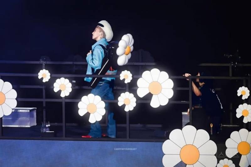 일본에서 솔로로 티켓파워가 가장쎈 한국가수ㄷㄷ | 인스티즈