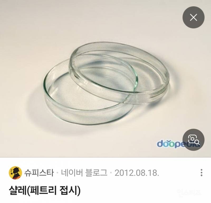  질문!! 샬레 아는사람?