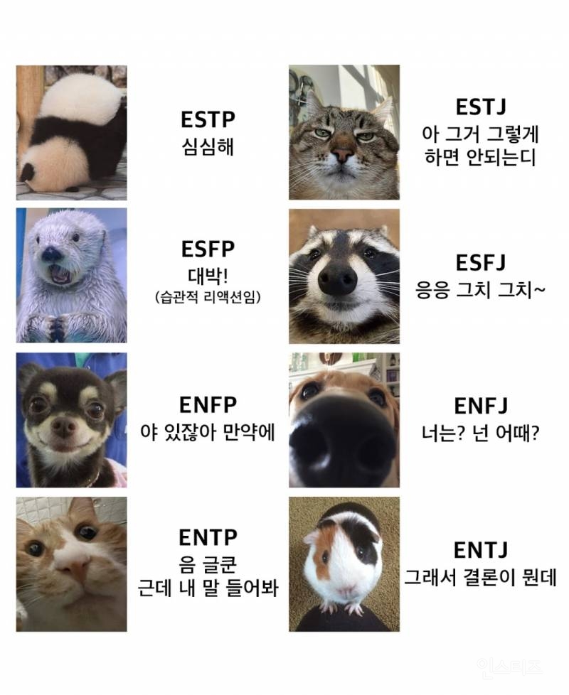 MBTI별 말버릇.jpg | 인스티즈