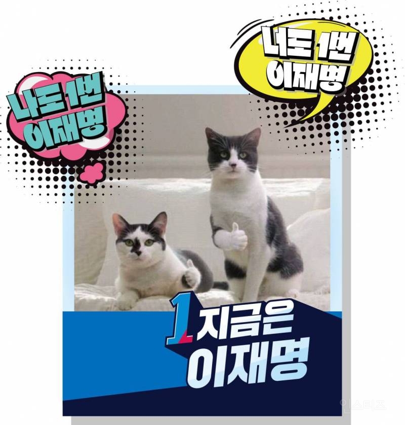  이재명 고양이ㅋㅋㅋㅋㅋㅋㅋ넘웃기네