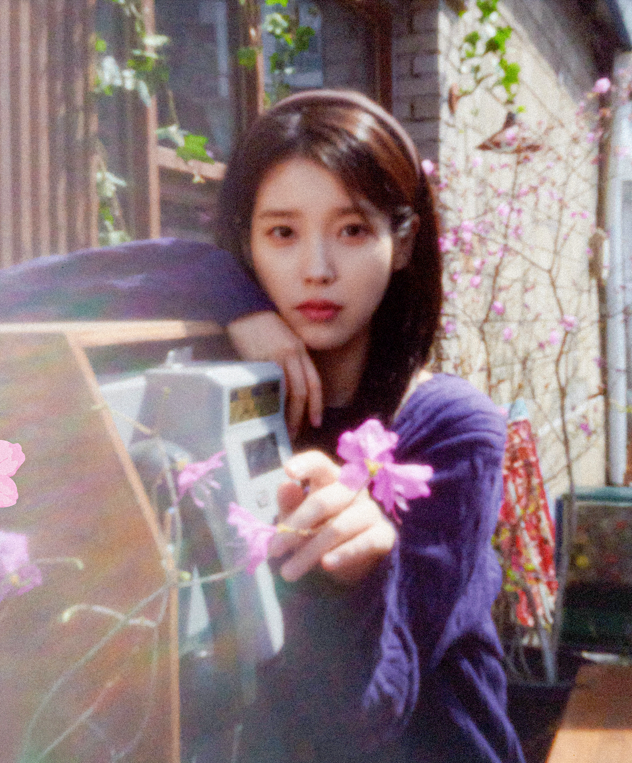 [잡담] 아이유 사진 보고 폭싹 생각남 | 인스티즈