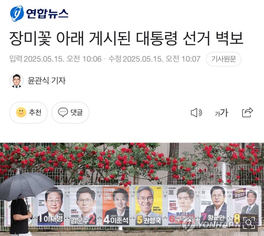 [잡담] 이번 대선이 장미대선인 이유 | 인스티즈