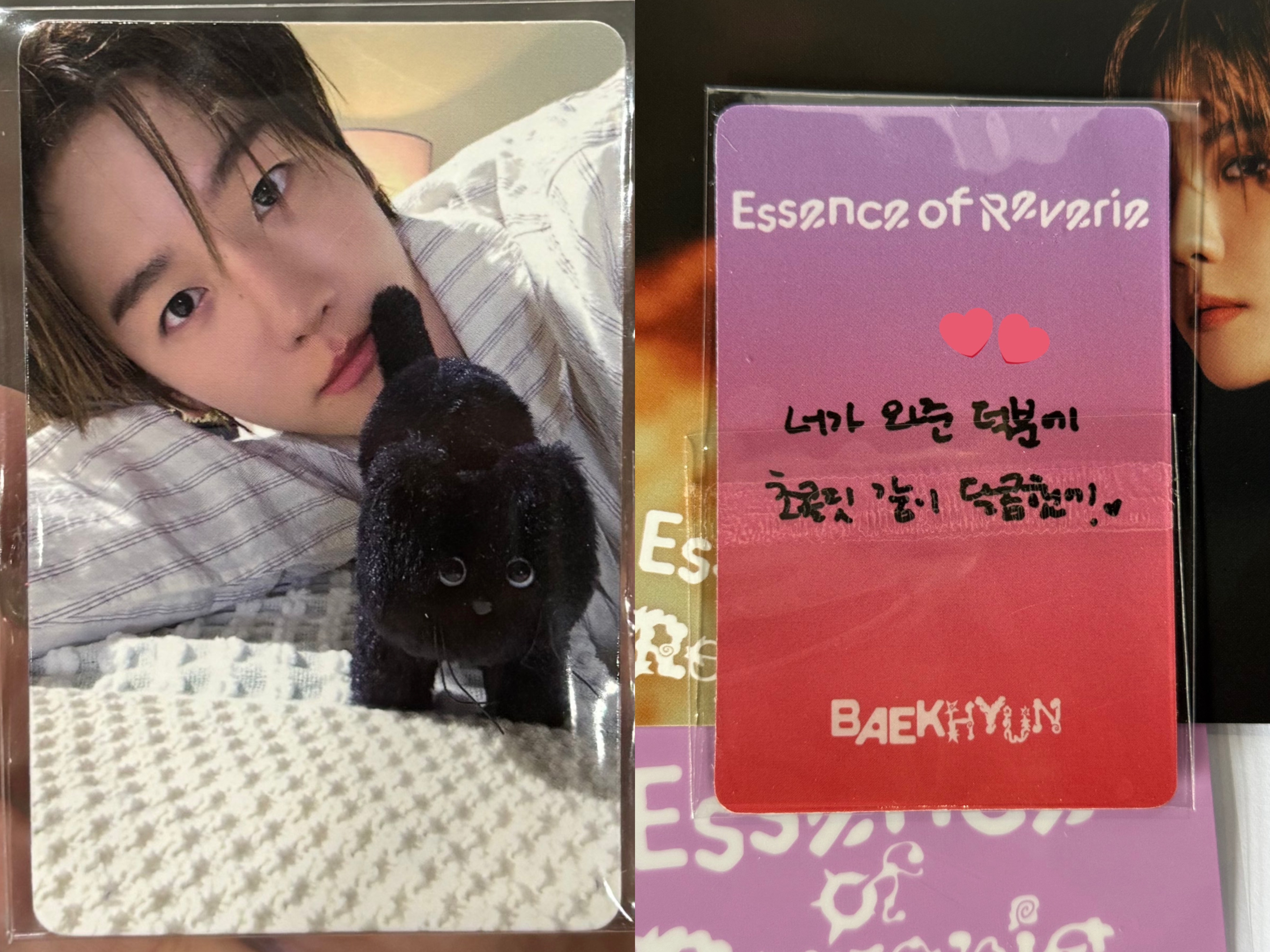 [정보/소식] 오늘자 백현 뮤직뱅크 역조공 | 인스티즈
