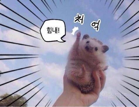 오우,,경기도민 근황 | 인스티즈