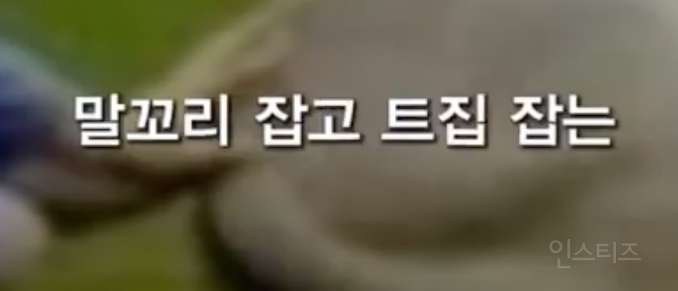 억까도 이런 억까가 없다는 상황 .jpg | 인스티즈