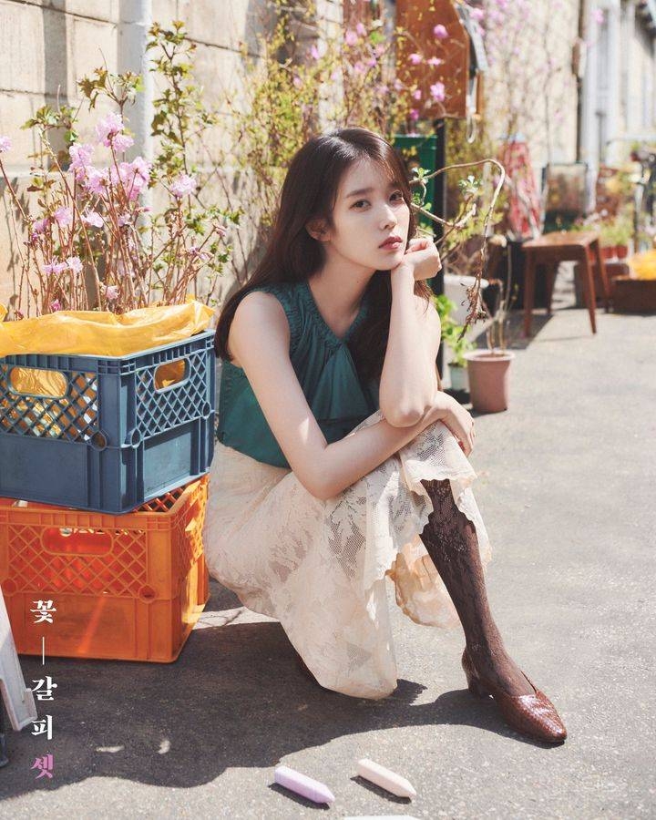  자세히 보면 무서운 아이유 꽃갈피3 컨셉포토 사진..jpg6