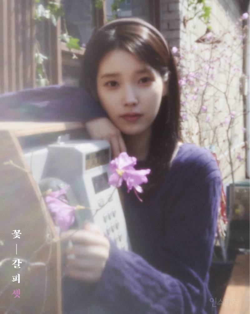 현재 반응 터진 아이유 꽃갈피3 타이틀과 뮤비 컨셉 궁예 | 인스티즈