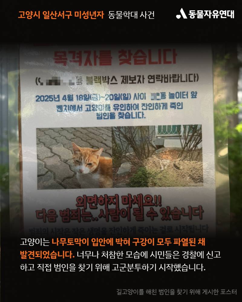 미성년자가 사람 잘따르는 고양이를 구타한후 입안에 나무가지를 관통시켜 죽였습니다 | 인스티즈