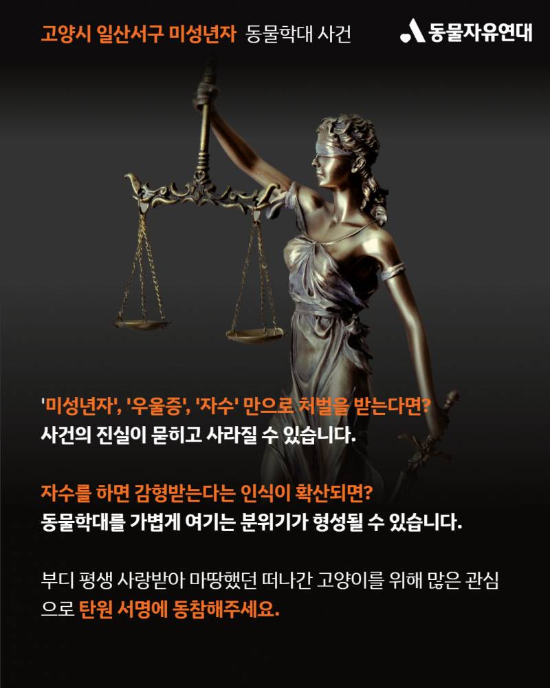 미성년자가 사람 잘따르는 고양이를 구타한후 입안에 나무가지를 관통시켜 죽였습니다 | 인스티즈