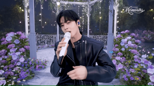 무자비한 얼굴 공격 예상된다는 차은우 vr 콘서트 .jpgif | 인스티즈