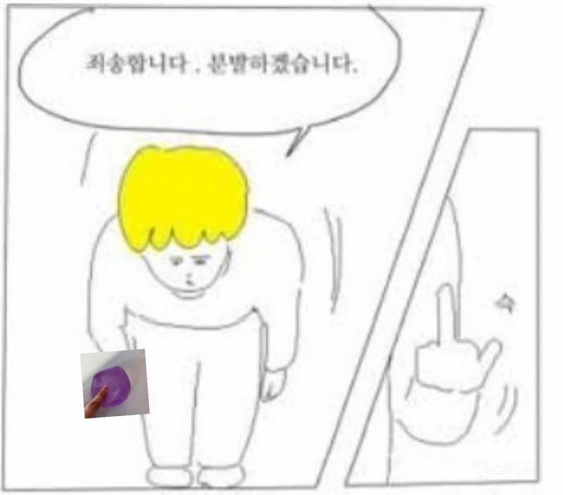 사는거만 보면 연봉 1억인 여시추천템 (+3N살 자취 여시의 삶의질을 높이는) | 인스티즈
