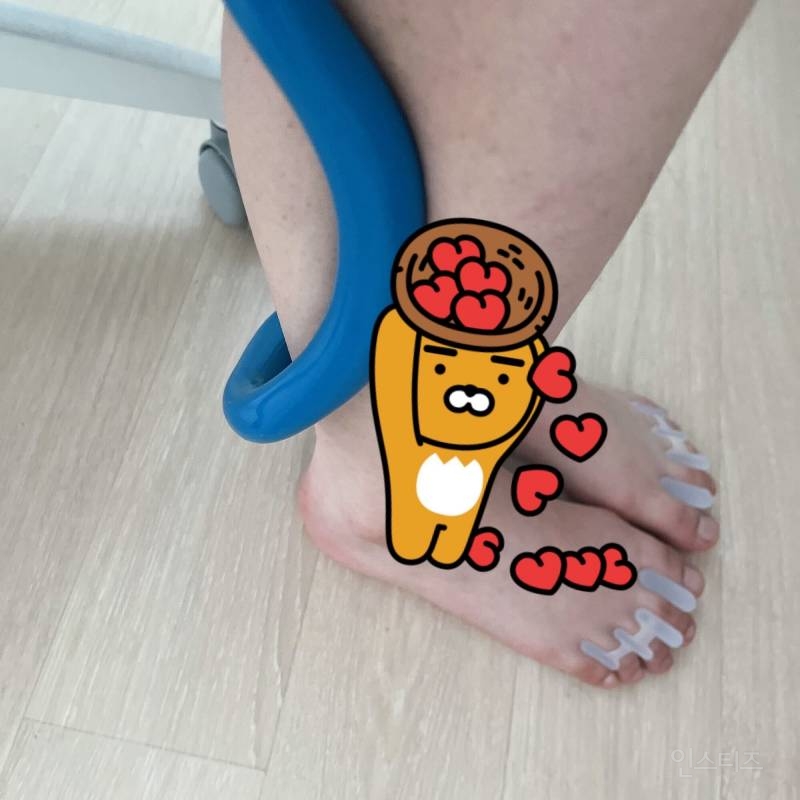 사는거만 보면 연봉 1억인 여시추천템 (+3N살 자취 여시의 삶의질을 높이는) | 인스티즈
