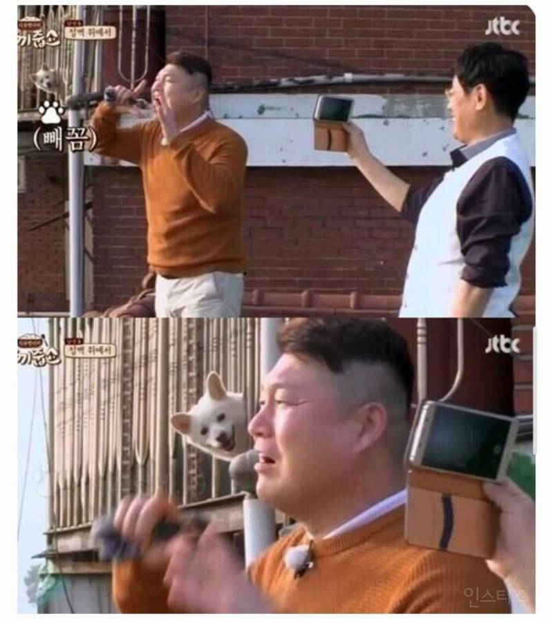  집앞에 연예인 왔다고해서 1열에서 구경 중16