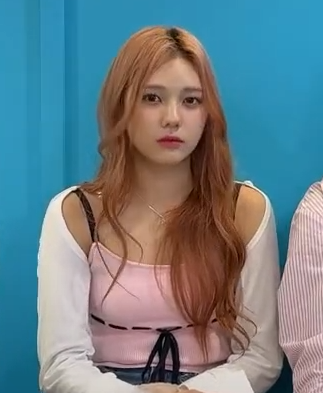 밸런스 게임 질문에 T와 F로 나뉘는 온도차 (F는 계속 울고 있음) | 인스티즈