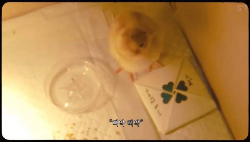 감다살이라는 반응 많은 엔시티 도영 솔로 프로모.jpg | 인스티즈