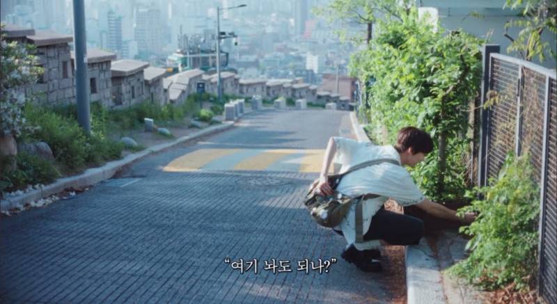 감다살이라는 반응 많은 엔시티 도영 솔로 프로모.jpg | 인스티즈