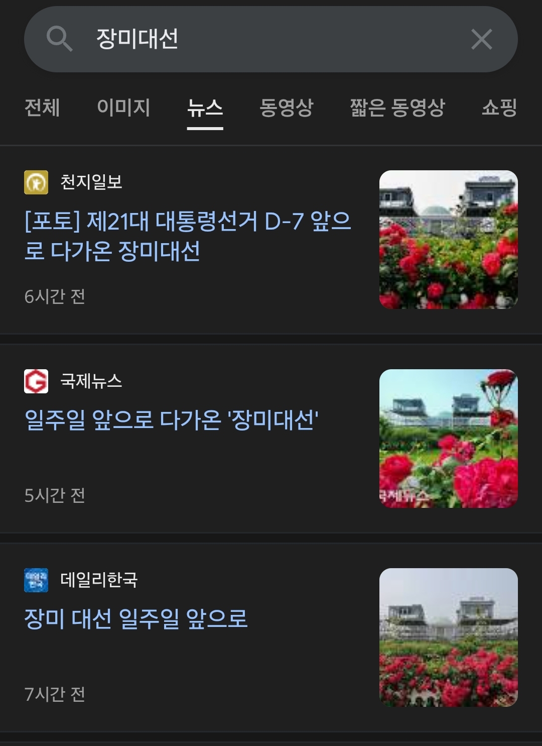 [정보/소식] 장미대선이라는 단어의 유래와 의미 | 인스티즈