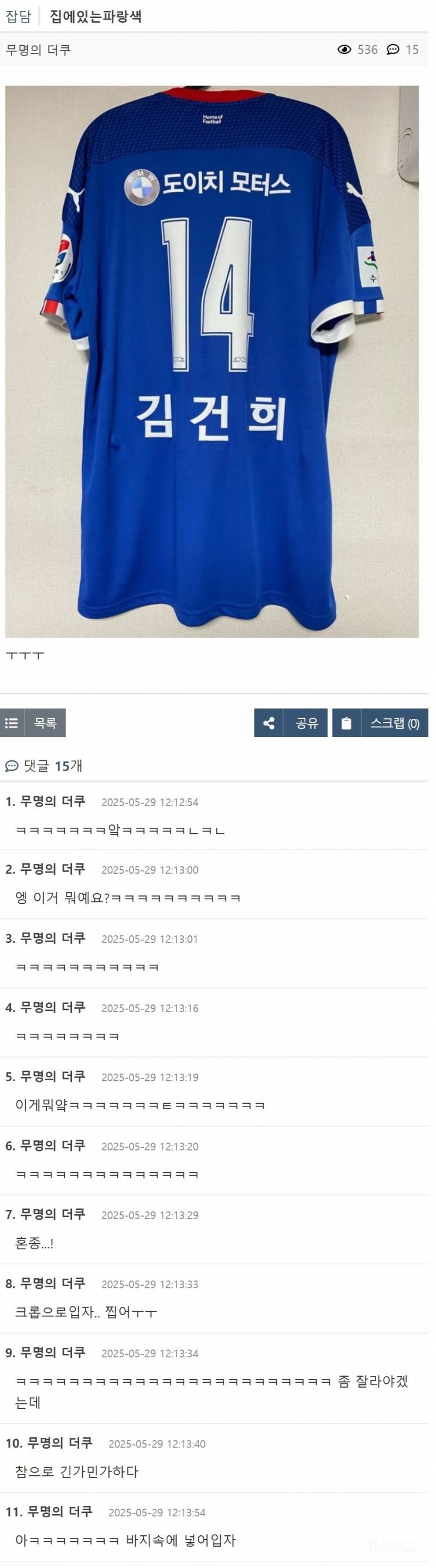  집에 있는 파란색 옷을 찾아봤다는 유권자..jpg19