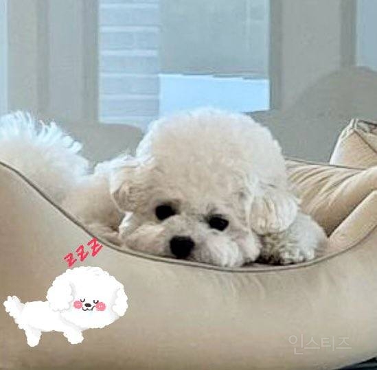 고소영과 조권 차은우의 관계성.jpg | 인스티즈