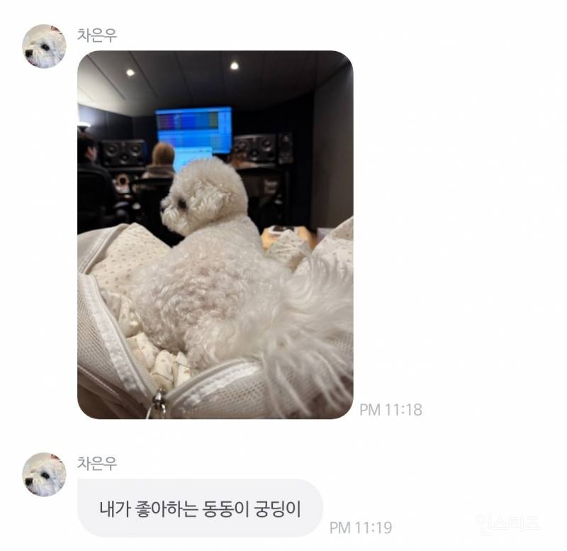 고소영과 조권 차은우의 관계성.jpg | 인스티즈